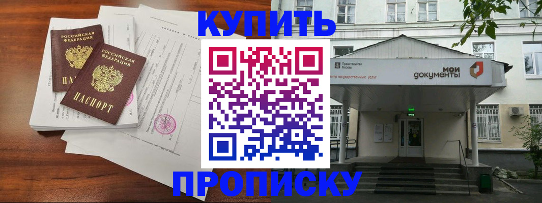 прописка для школы в Сольцах